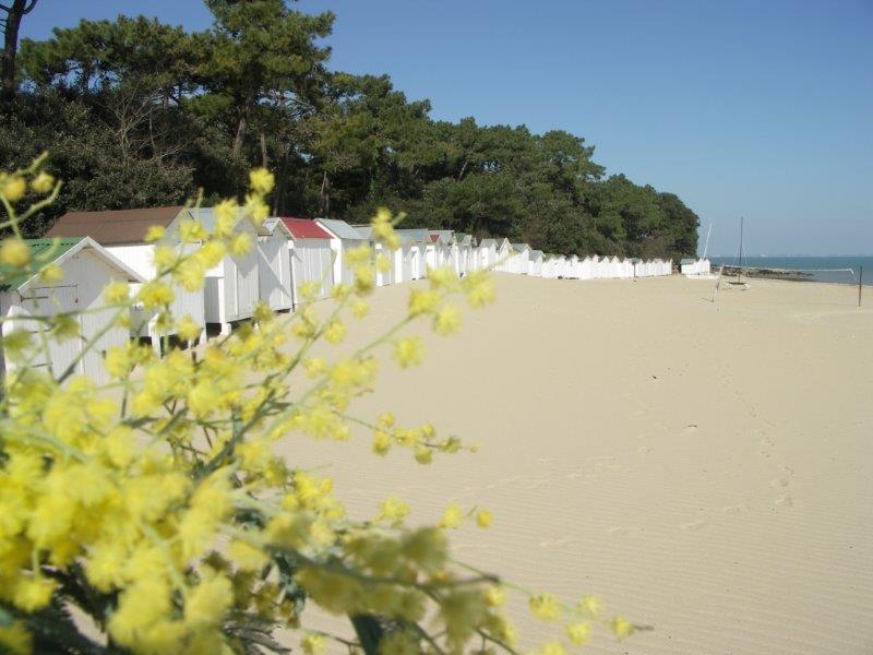 Koat Ar Mor Noirmoutier-en-l'Ile